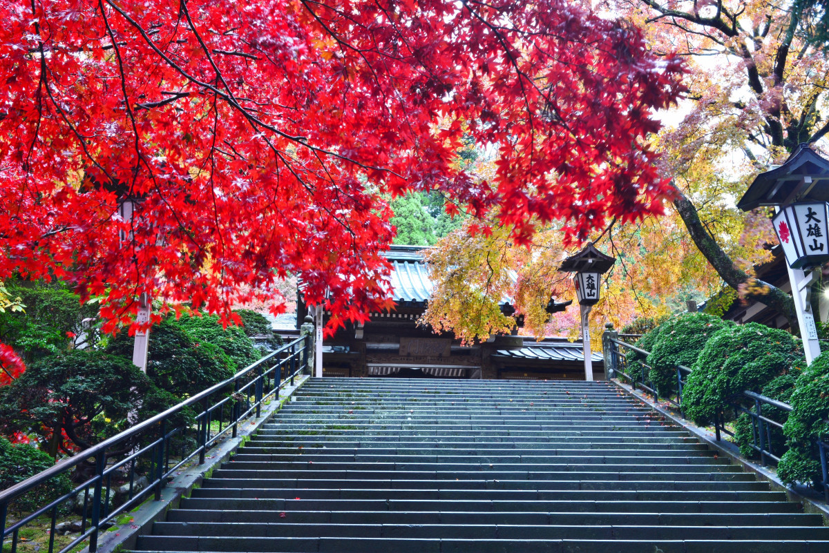 大雄山最乗寺